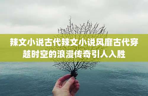 辣文小说古代辣文小说风靡古代穿越时空的浪漫传奇引人入胜