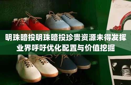 明珠暗投明珠暗投珍贵资源未得发挥业界呼吁优化配置与价值挖掘