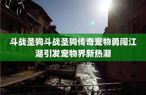 斗战圣狗斗战圣狗传奇宠物勇闯江湖引发宠物界新热潮