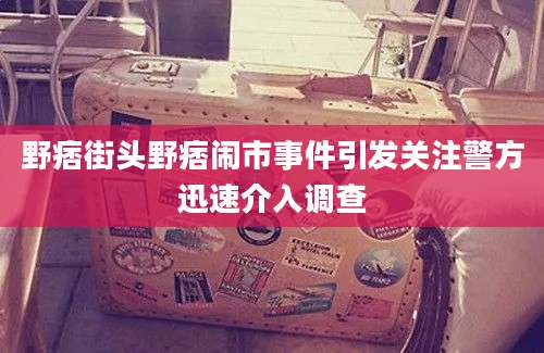 野痞街头野痞闹市事件引发关注警方迅速介入调查