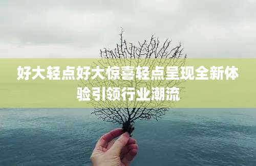 好大轻点好大惊喜轻点呈现全新体验引领行业潮流