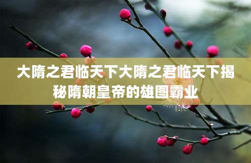 大隋之君临天下大隋之君临天下揭秘隋朝皇帝的雄图霸业