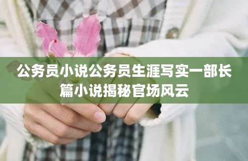 公务员小说公务员生涯写实一部长篇小说揭秘官场风云