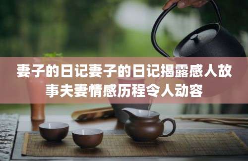 妻子的日记妻子的日记揭露感人故事夫妻情感历程令人动容