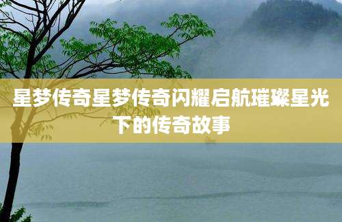 星梦传奇星梦传奇闪耀启航璀璨星光下的传奇故事