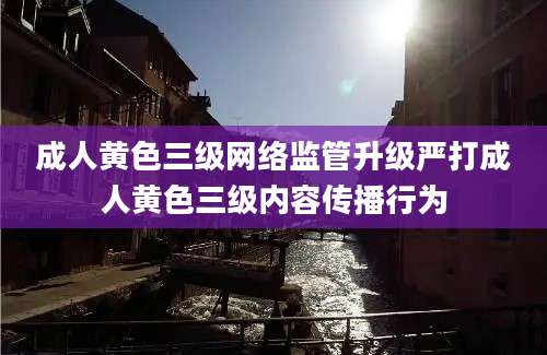 成人黄色三级网络监管升级严打成人黄色三级内容传播行为