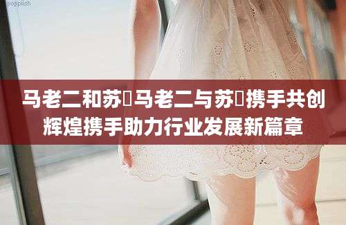 马老二和苏玥马老二与苏玥携手共创辉煌携手助力行业发展新篇章