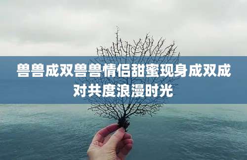 兽兽成双兽兽情侣甜蜜现身成双成对共度浪漫时光