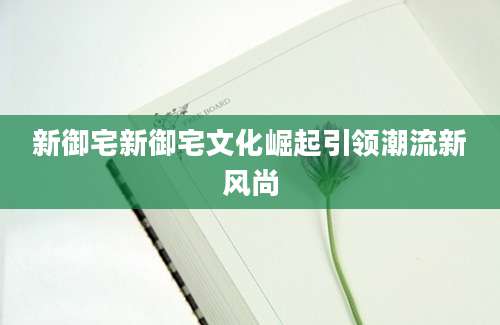 新御宅新御宅文化崛起引领潮流新风尚
