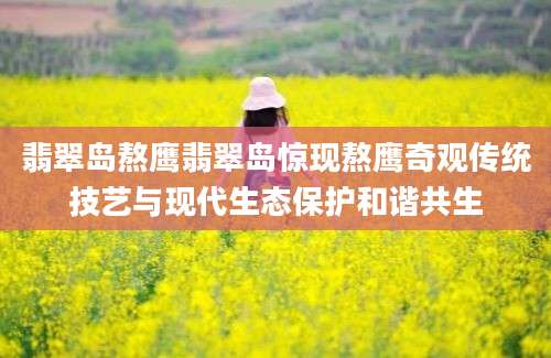 翡翠岛熬鹰翡翠岛惊现熬鹰奇观传统技艺与现代生态保护和谐共生