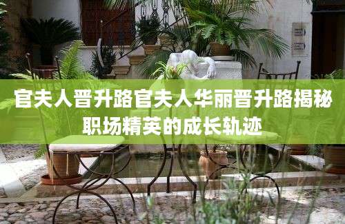 官夫人晋升路官夫人华丽晋升路揭秘职场精英的成长轨迹
