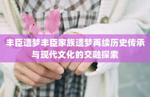 丰臣遗梦丰臣家族遗梦再续历史传承与现代文化的交融探索