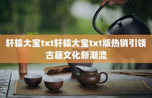 轩辕大宝txt轩辕大宝txt版热销引领古籍文化新潮流