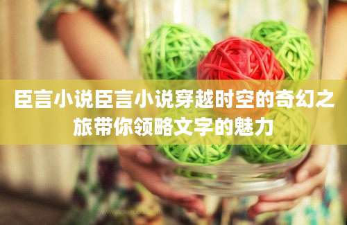 臣言小说臣言小说穿越时空的奇幻之旅带你领略文字的魅力