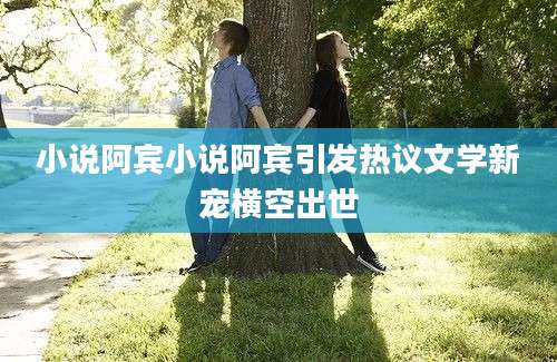 小说阿宾小说阿宾引发热议文学新宠横空出世