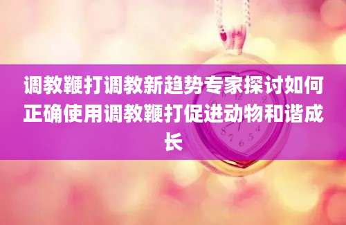 调教鞭打调教新趋势专家探讨如何正确使用调教鞭打促进动物和谐成长