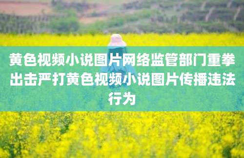 黄色视频小说图片网络监管部门重拳出击严打黄色视频小说图片传播违法行为
