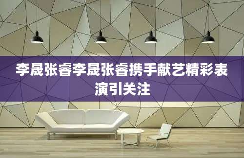 李晟张睿李晟张睿携手献艺精彩表演引关注