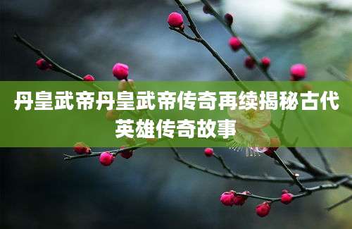丹皇武帝丹皇武帝传奇再续揭秘古代英雄传奇故事