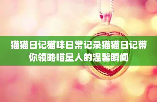 猫猫日记猫咪日常记录猫猫日记带你领略喵星人的温馨瞬间