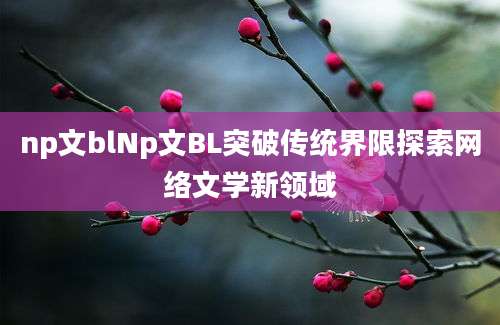 np文blNp文BL突破传统界限探索网络文学新领域
