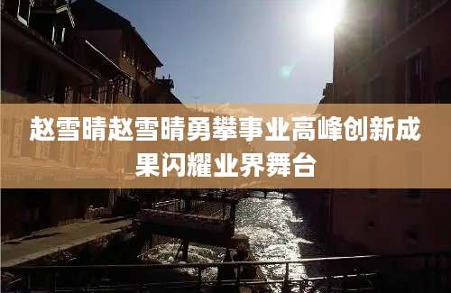 赵雪晴赵雪晴勇攀事业高峰创新成果闪耀业界舞台