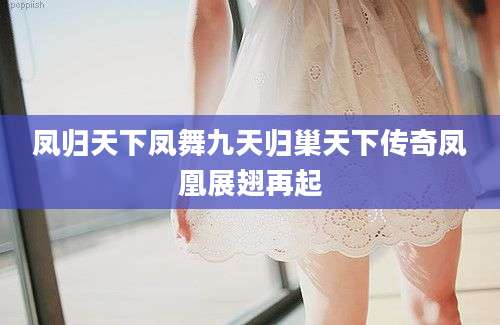 凤归天下凤舞九天归巢天下传奇凤凰展翅再起