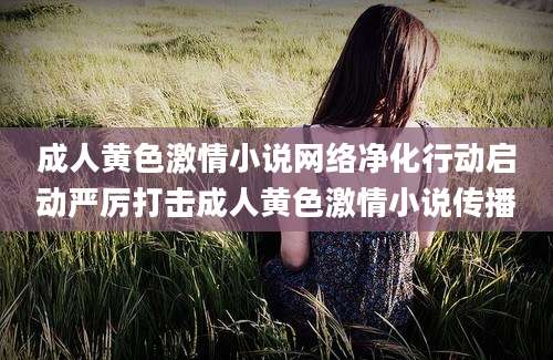成人黄色激情小说网络净化行动启动严厉打击成人黄色激情小说传播