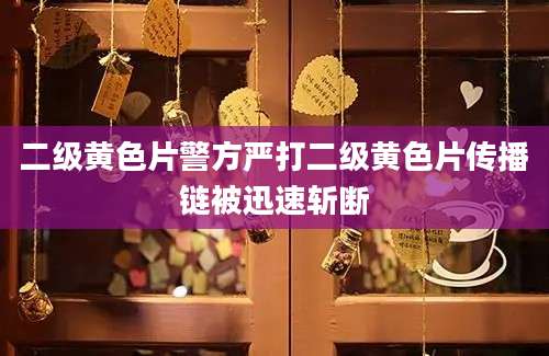 二级黄色片警方严打二级黄色片传播链被迅速斩断