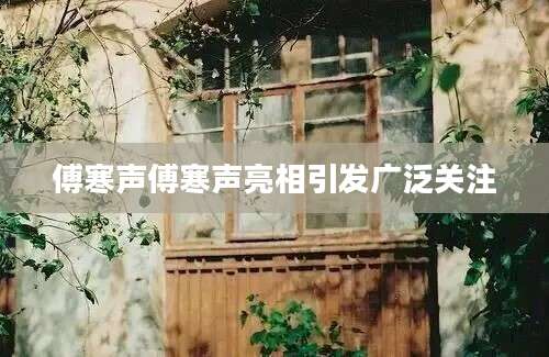 傅寒声傅寒声亮相引发广泛关注