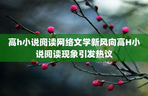 高h小说阅读网络文学新风向高H小说阅读现象引发热议