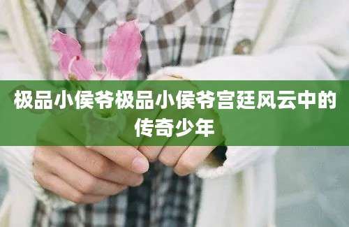 极品小侯爷极品小侯爷宫廷风云中的传奇少年