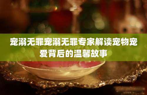 宠溺无罪宠溺无罪专家解读宠物宠爱背后的温馨故事