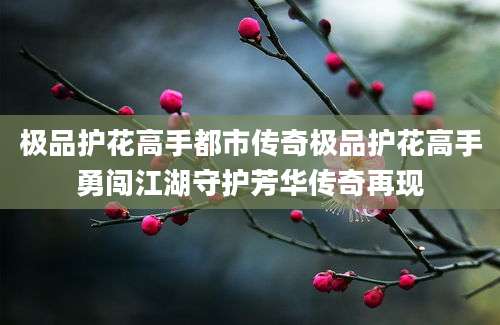 极品护花高手都市传奇极品护花高手勇闯江湖守护芳华传奇再现