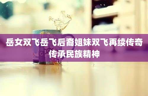 岳女双飞岳飞后裔姐妹双飞再续传奇传承民族精神