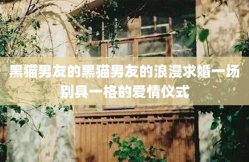 黑猫男友的黑猫男友的浪漫求婚一场别具一格的爱情仪式