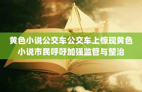 黄色小说公交车公交车上惊现黄色小说市民呼吁加强监管与整治