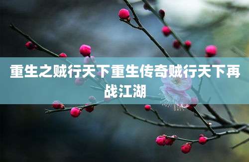 重生之贼行天下重生传奇贼行天下再战江湖