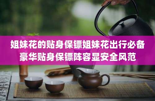姐妹花的贴身保镖姐妹花出行必备豪华贴身保镖阵容显安全风范