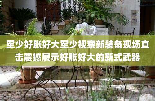 军少好胀好大军少视察新装备现场直击震撼展示好胀好大的新式武器