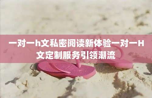 一对一h文私密阅读新体验一对一H文定制服务引领潮流
