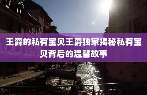 王爵的私有宝贝王爵独家揭秘私有宝贝背后的温馨故事
