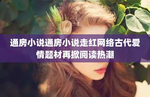 通房小说通房小说走红网络古代爱情题材再掀阅读热潮
