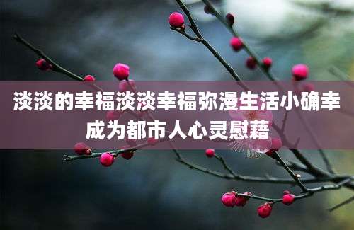 淡淡的幸福淡淡幸福弥漫生活小确幸成为都市人心灵慰藉