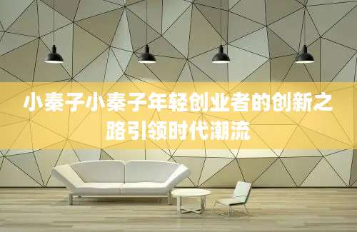 小秦子小秦子年轻创业者的创新之路引领时代潮流