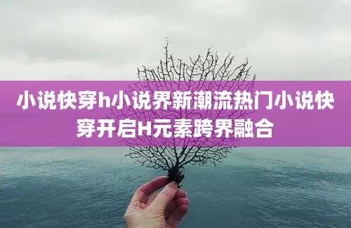 小说快穿h小说界新潮流热门小说快穿开启H元素跨界融合