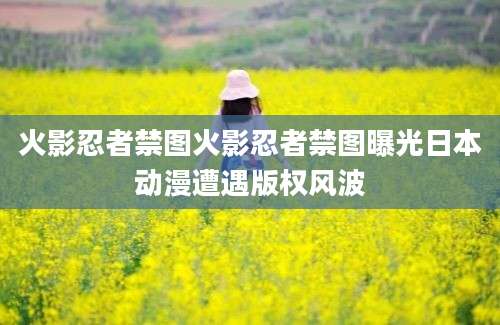 火影忍者禁图火影忍者禁图曝光日本动漫遭遇版权风波