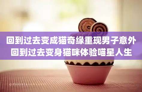 回到过去变成猫奇缘重现男子意外回到过去变身猫咪体验喵星人生