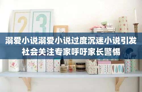 溺爱小说溺爱小说过度沉迷小说引发社会关注专家呼吁家长警惕
