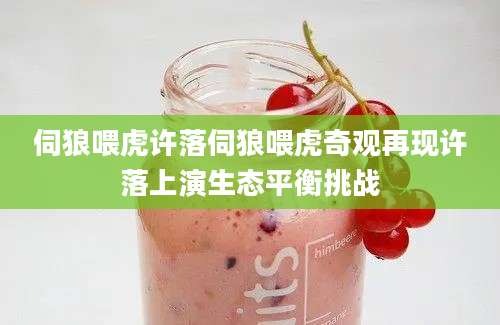 伺狼喂虎许落伺狼喂虎奇观再现许落上演生态平衡挑战